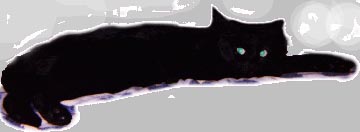 ashes.jpg (6708 bytes)