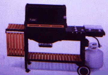 bbq.jpg (17570 bytes)